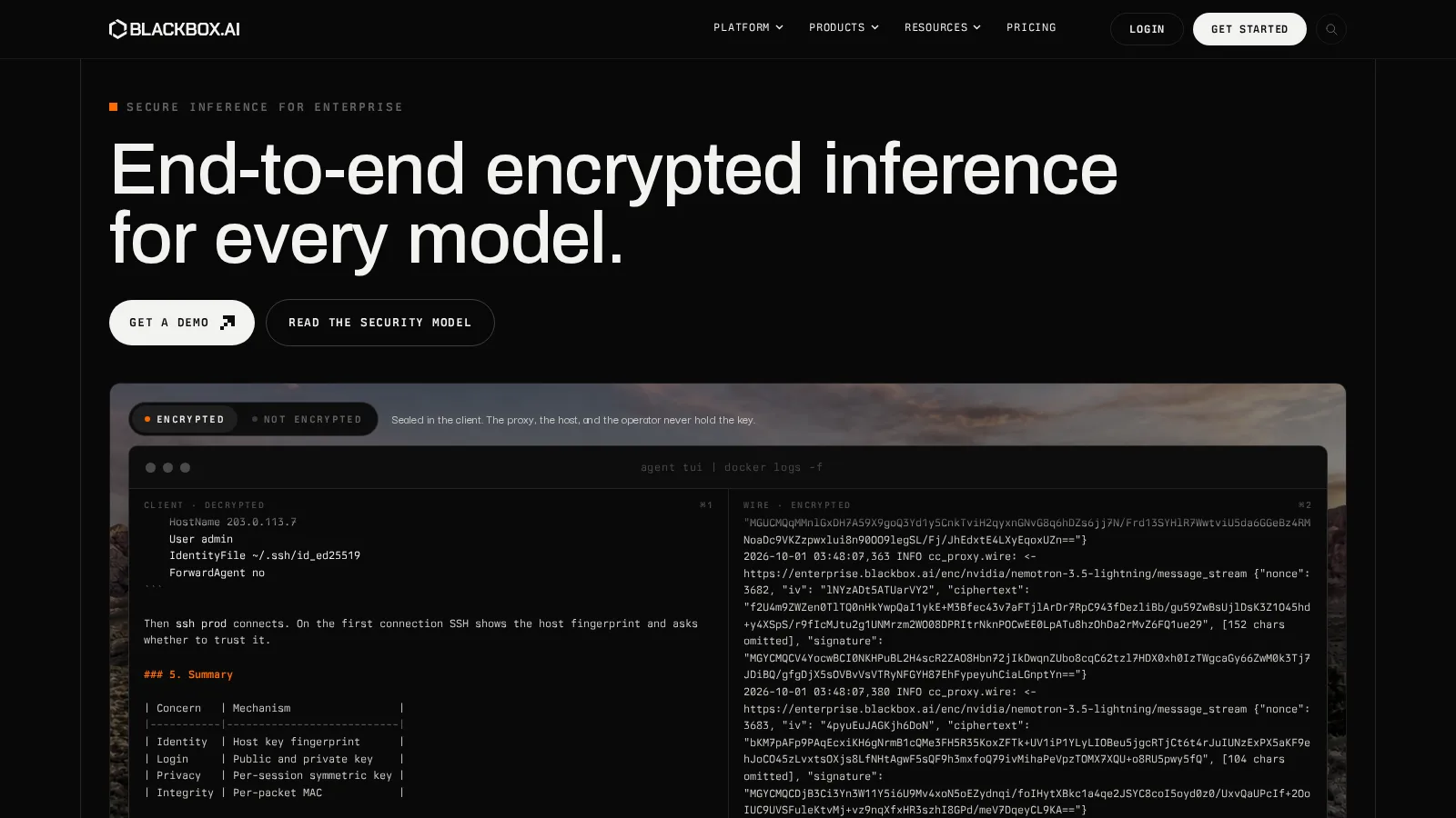 Blackbox AI — скриншот